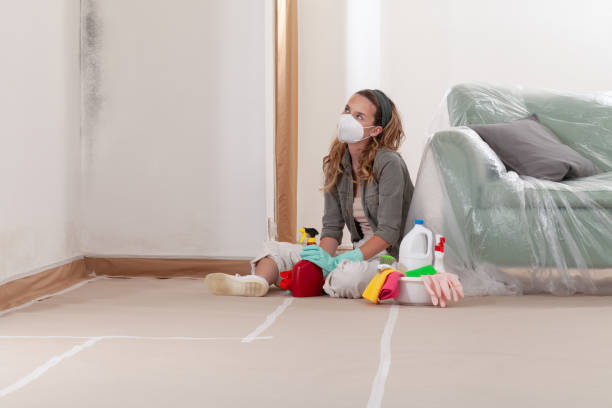 Reliable Mold Testing contractor in Ebony, VA by WQB Mold Removal